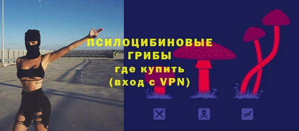 спиды Ростов