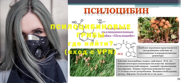 спиды Ростов